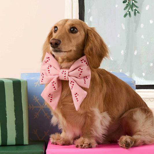The Foggy Dog Blush Pink Candy Canes Embroidered Lady Dog Bow