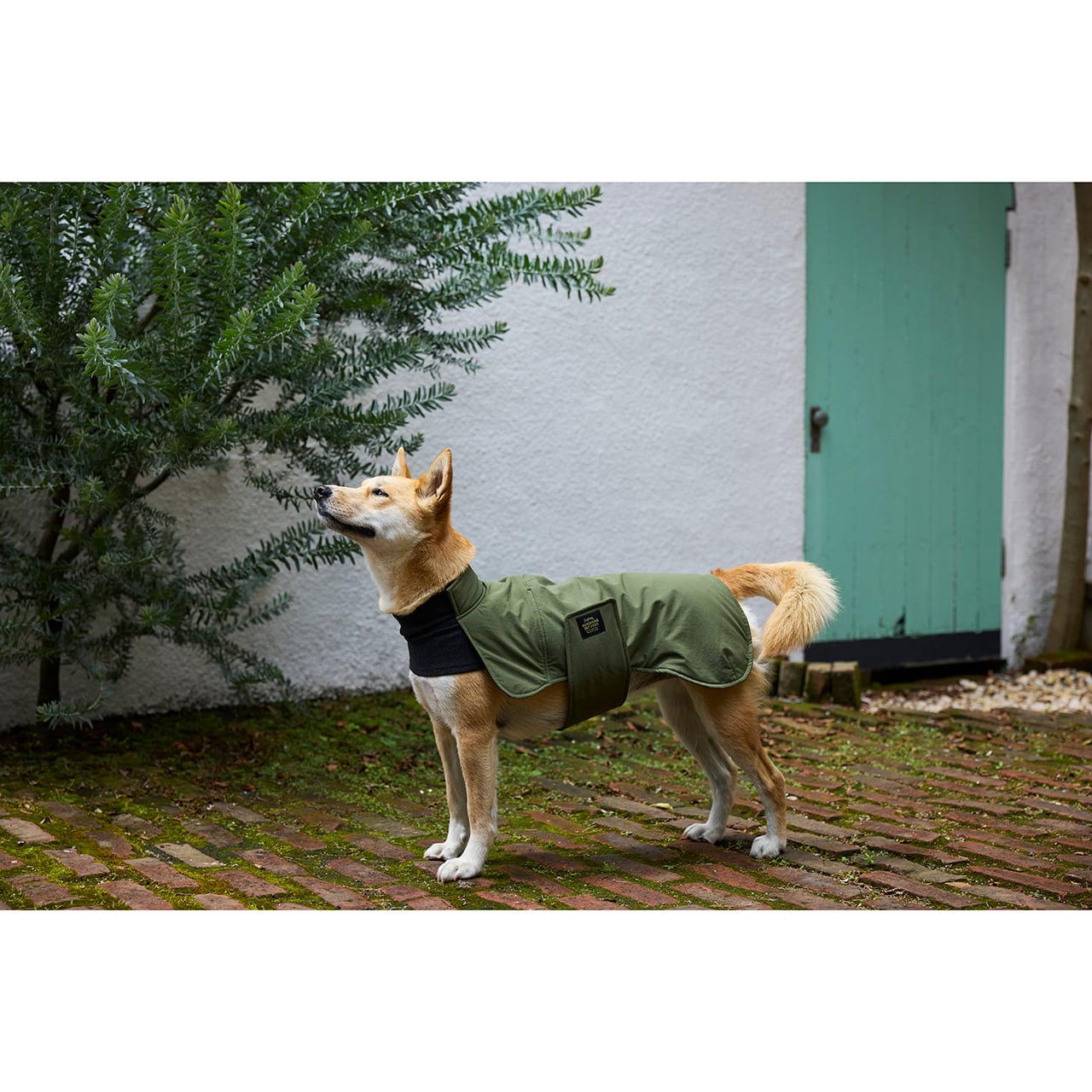 Mandarine Brothers Autumn/Winter Dog Jacket