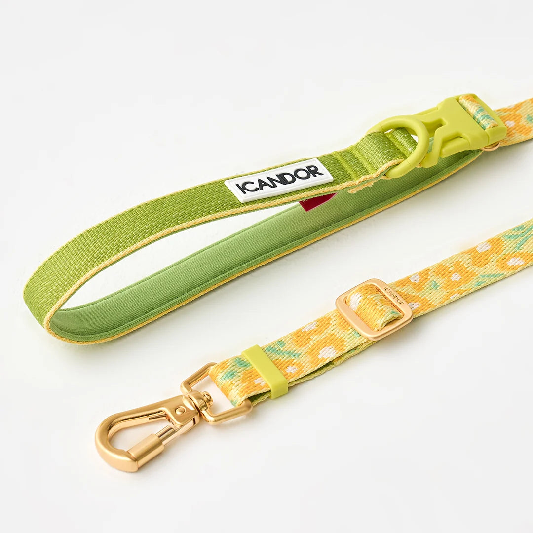 iCANDOR Gentle Leash Bolt, Long | Multi-Way Adjustable Dog Lead 1.3-2.3m