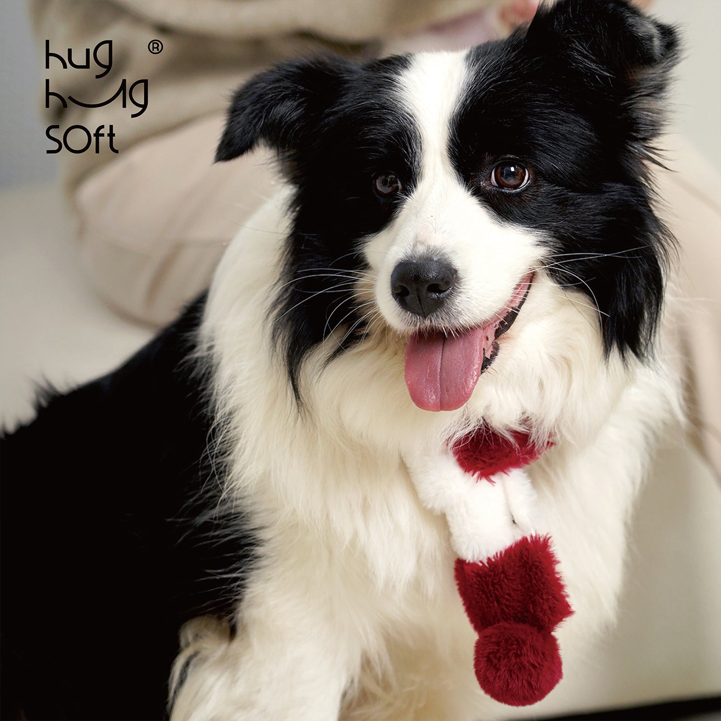 Little Artist Series Pet Scarf