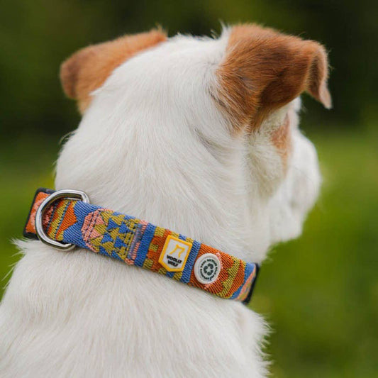 Nightless Night Dog Collar