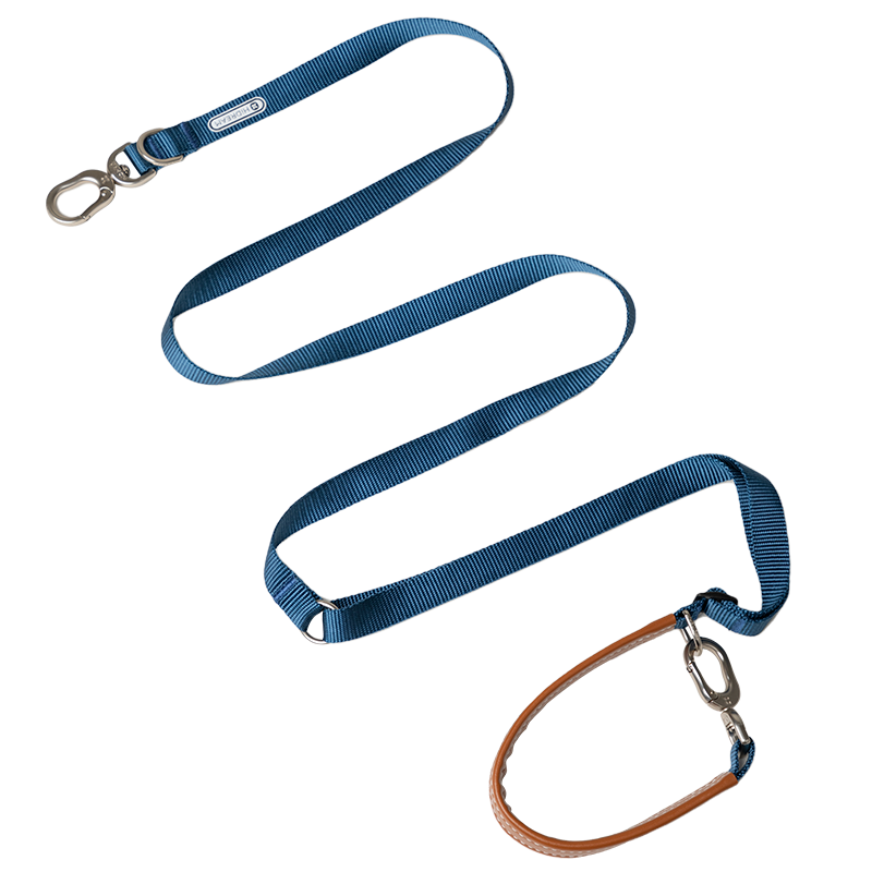 Bobo Series Multi-functional Dog Leash - Blue