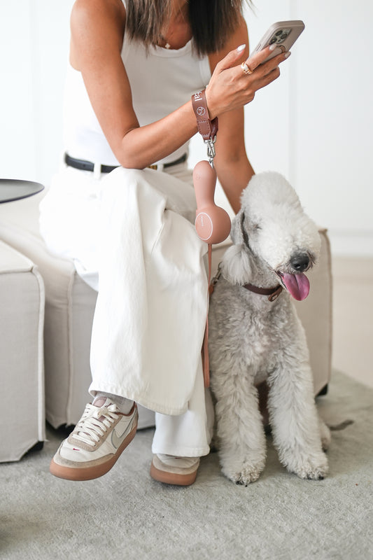 Furreal™ Chocoleash Heated Retractable Dog Leash – Award-Winning Design with Dual Temperature & Safety Strap