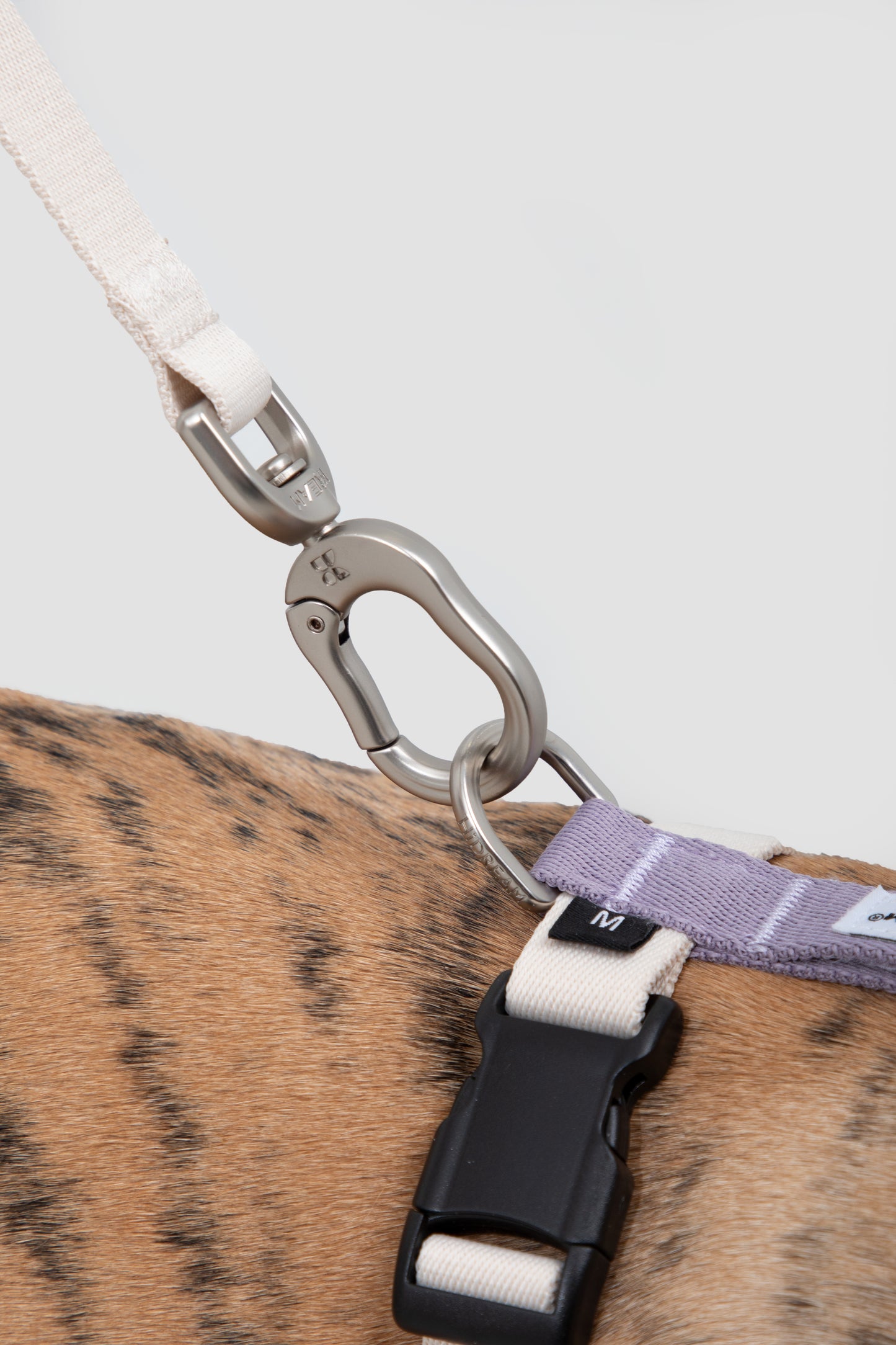 Valley Series H-Style Dog Harness Dog Leash Set - Green