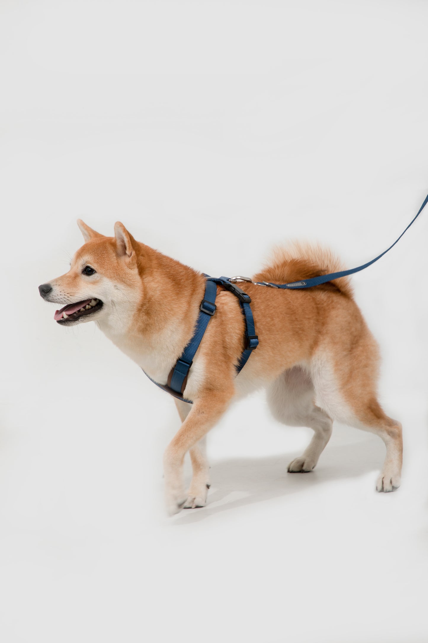 Bobo Series X-Style Dog Harness - Blue