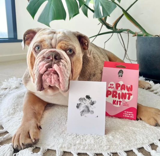 No Mess Paw Print Kit By Pablo & Co.