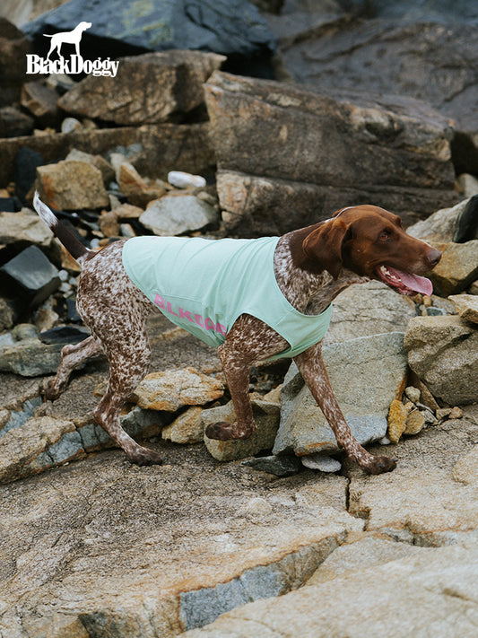 BlackDoggy Cooling Tank I – Cooling Vest