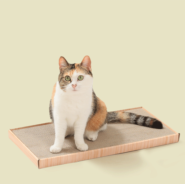 Woodtone Rectangular Cat Scratcher