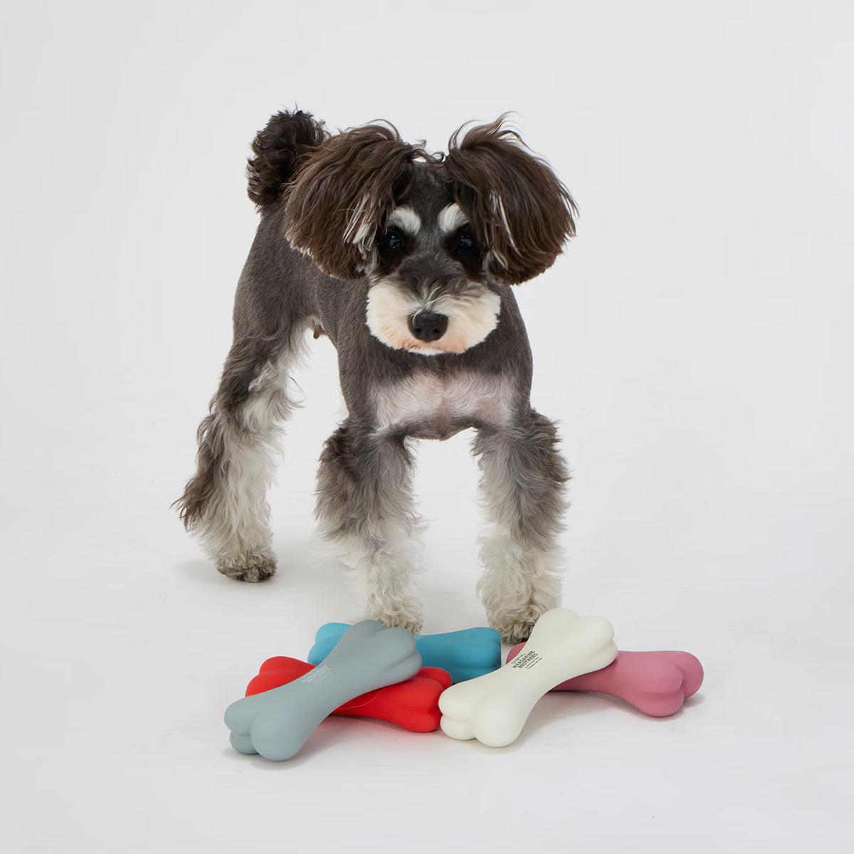 Mandarine Brothers LATEX BONE Dog Toy