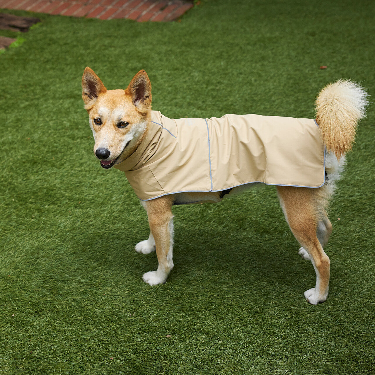Mandarine Brothers Waterproof Dog Raincoat