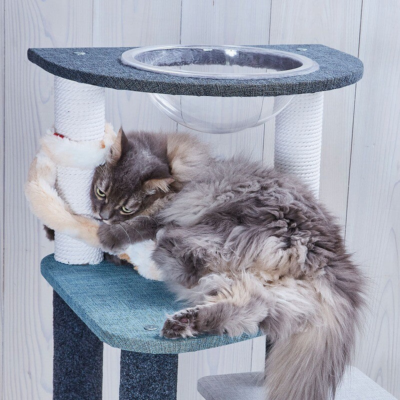 Petio Neighbour's Cat Punch Cat Toy
