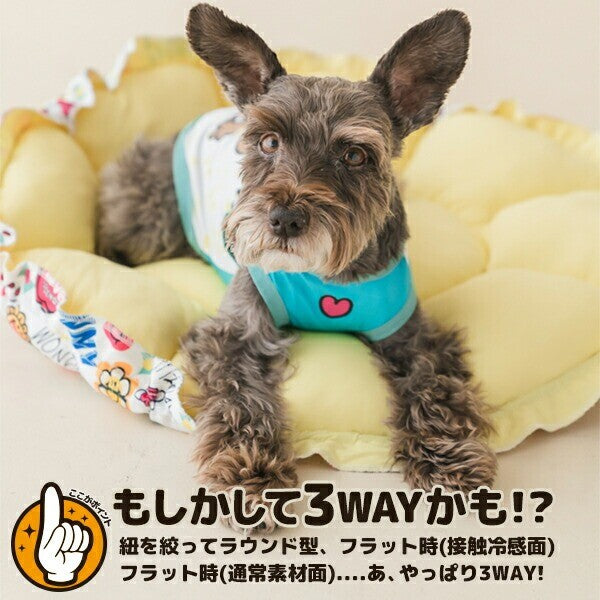 Beache Holic 2-Way Sping/Summer Cooling Bed