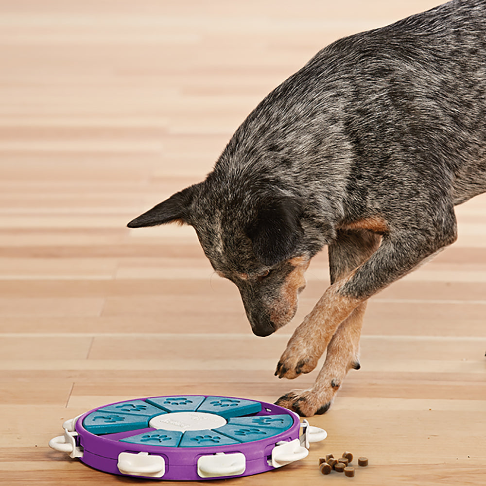 NINA OTTOSSON DOG TWISTER PURPLE