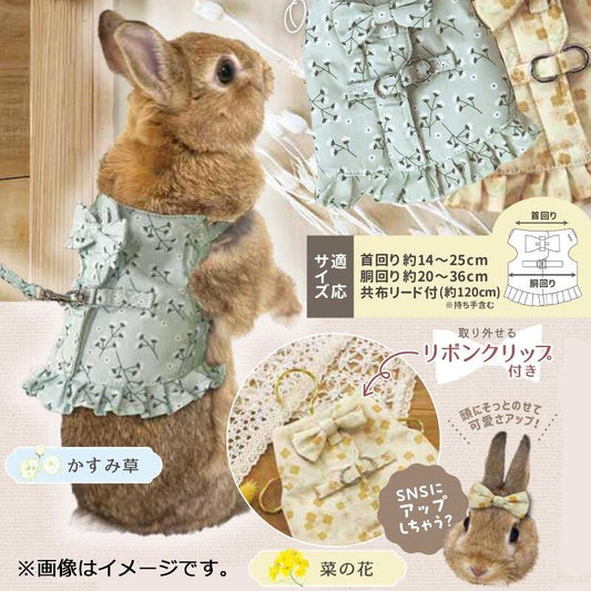 Animan Bunny Dress-Up Harness with Leash