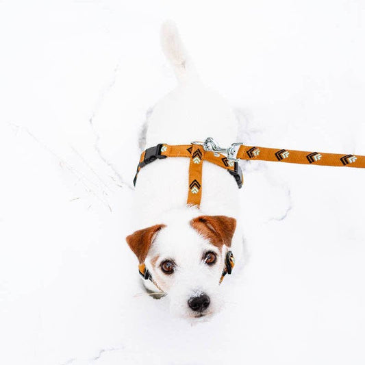 Woolly Wolf Sea To Summit Dog Leash