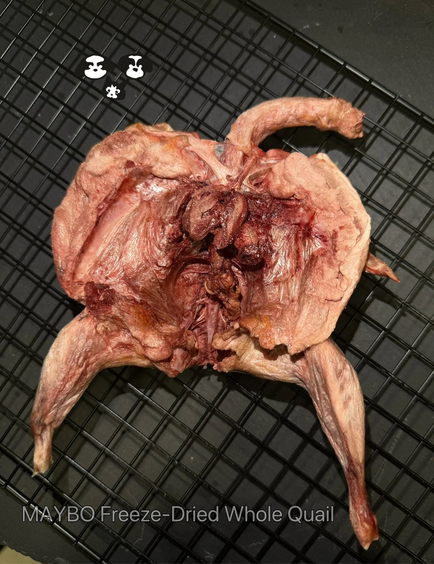 MAYBO FREEZE DRIED JUMBO QUAIL 1PC凍乾整隻大鵪鶉