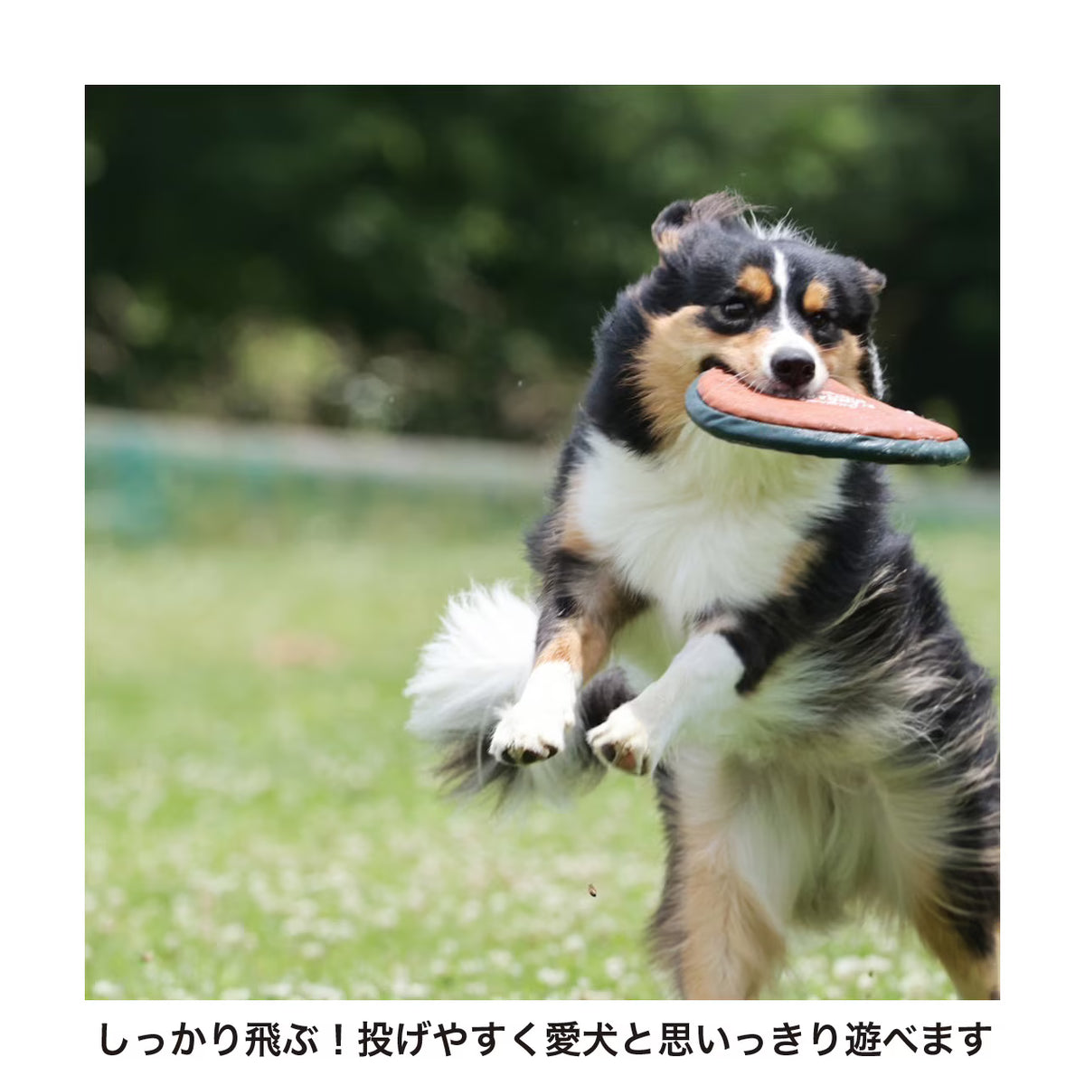 Mandarine Brothers MB FLYING DISC TOY Dog Toy