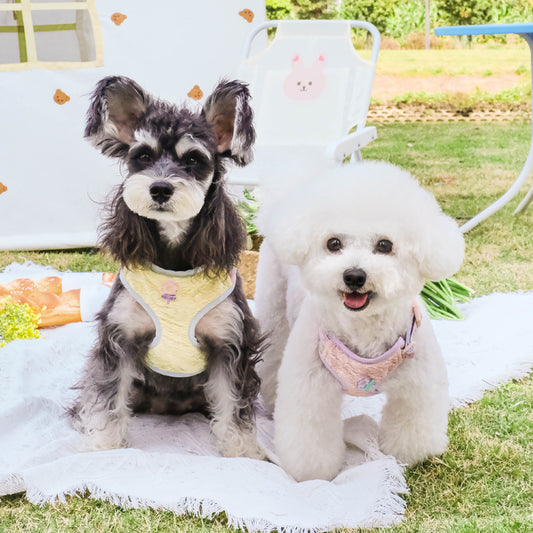 Tuffhound Sweet Floral Small Dog Harness - Yellow