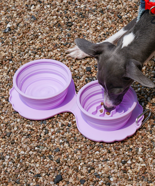 Zeze Shell Pet Folding Double Bowl