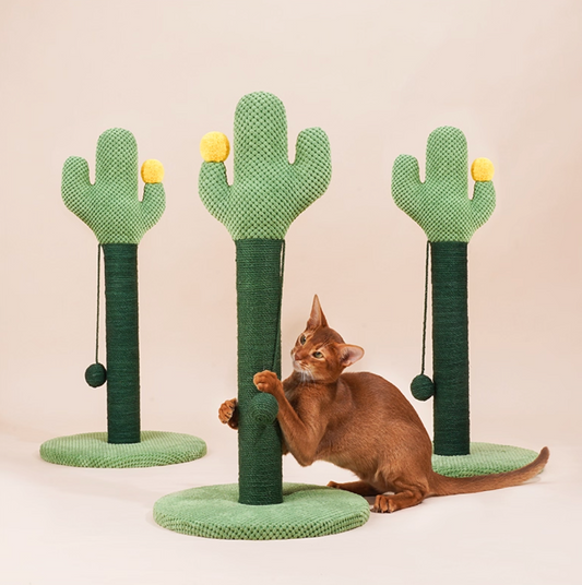 Zeze Cactus Cat Scratch Post