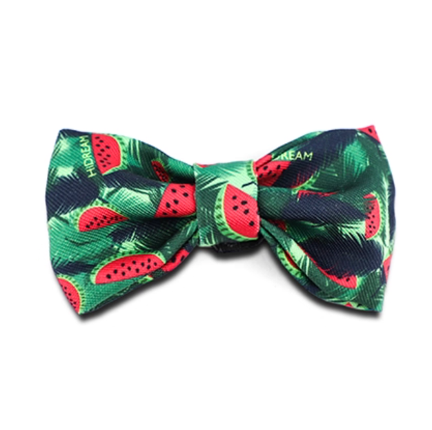 Pet Small Bow Tie - Watermelon