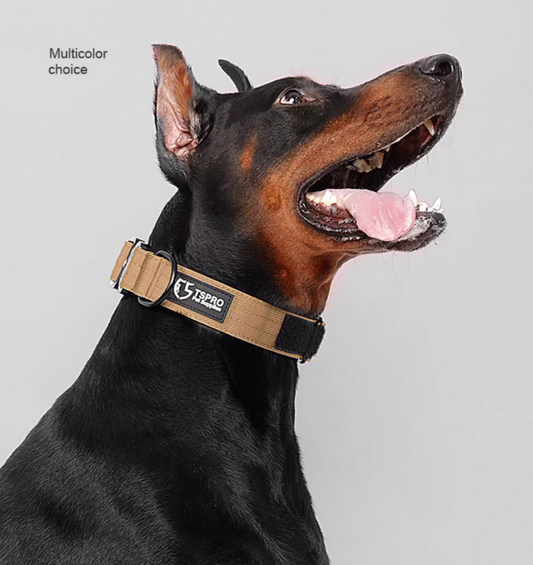 Wide Tactical Dog Collar With Handle For Medium and Large Dogs