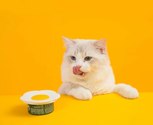 Fired Egg Reusable cat food can lid | dog food can lid | pet food can cover