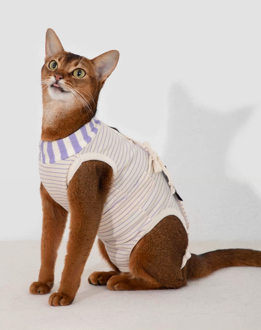 Hidream Cat Anti-Escape Recovery Suit