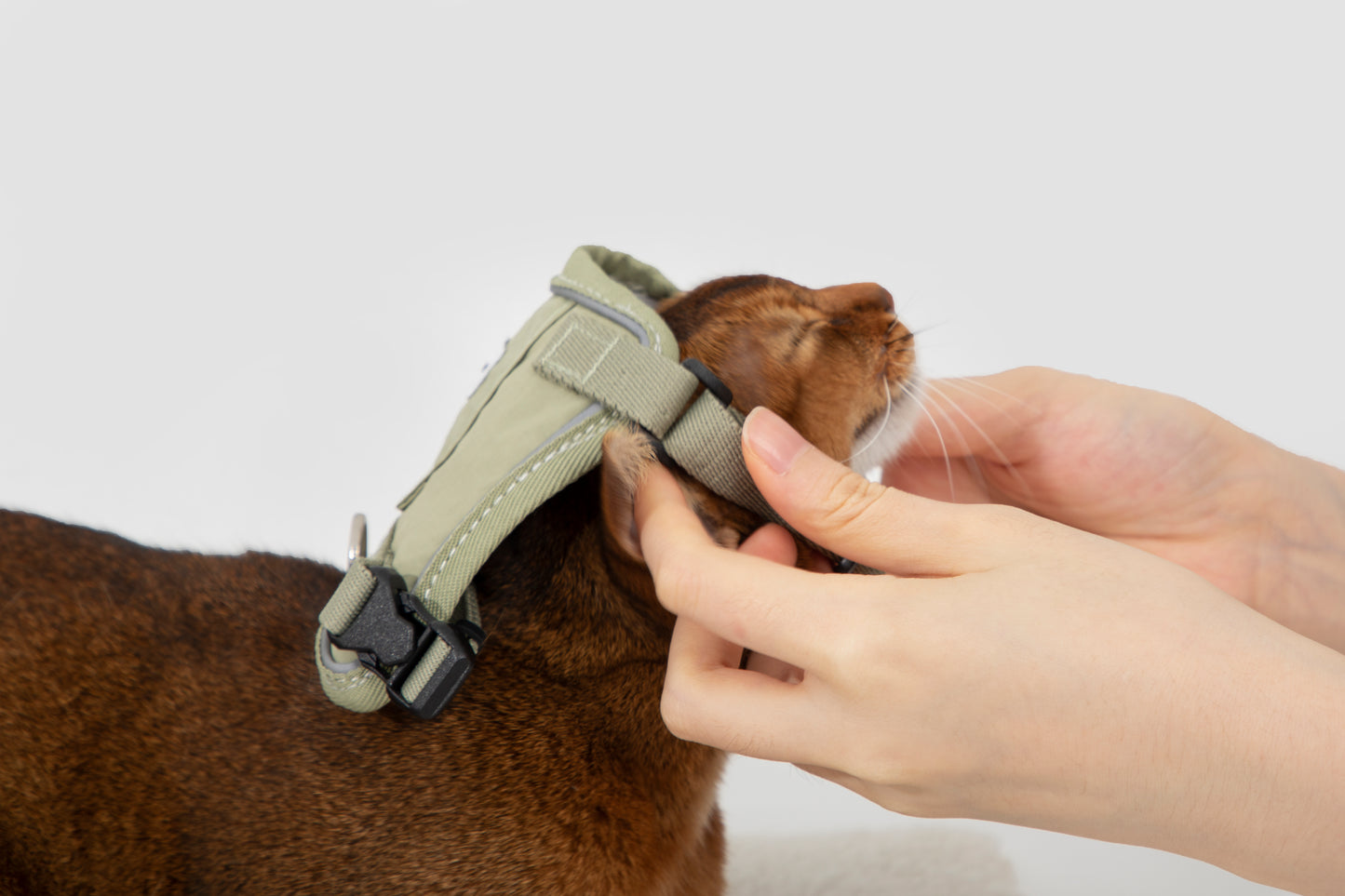 Valley Series Cat Vest Dog Harness Dog Leash Set - Purple