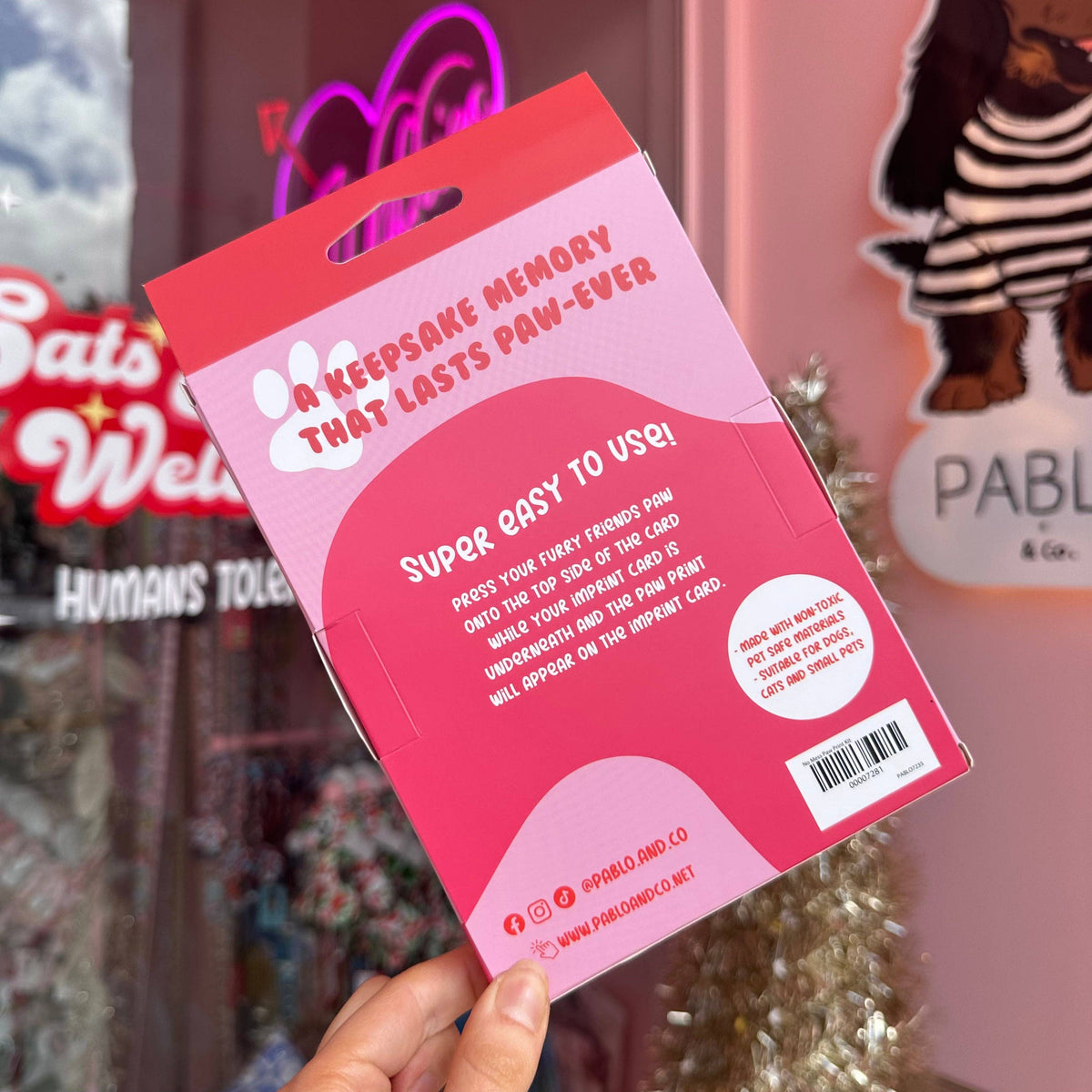 No Mess Paw Print Kit By Pablo & Co.