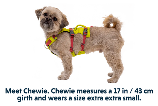 RUFFWEAR Flagline Harness Lichen Green