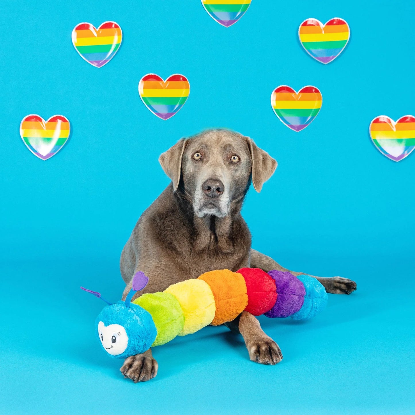 FRINGE STUDIO DON'T BUG ME PLUSH DOG TOY