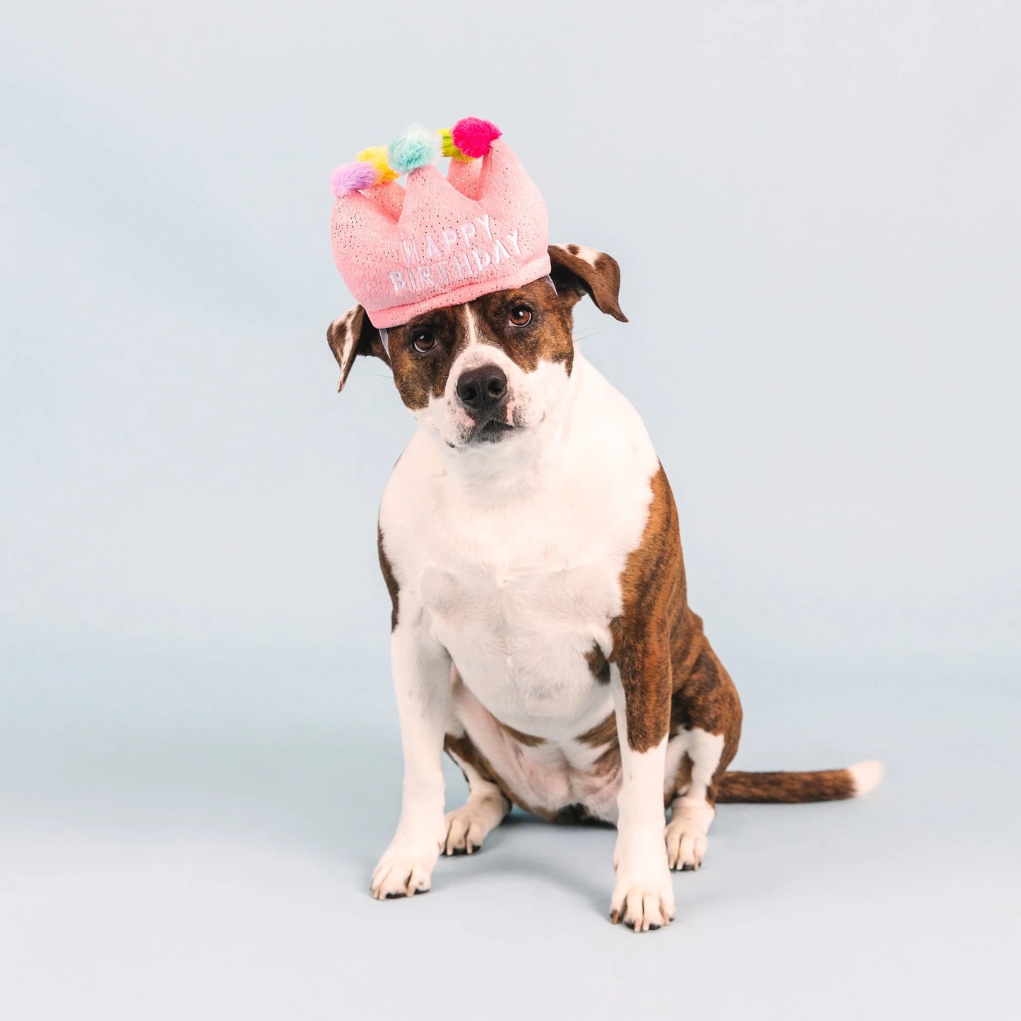 FRINGE STUDIO IF THE CROWN FITS PLUSH