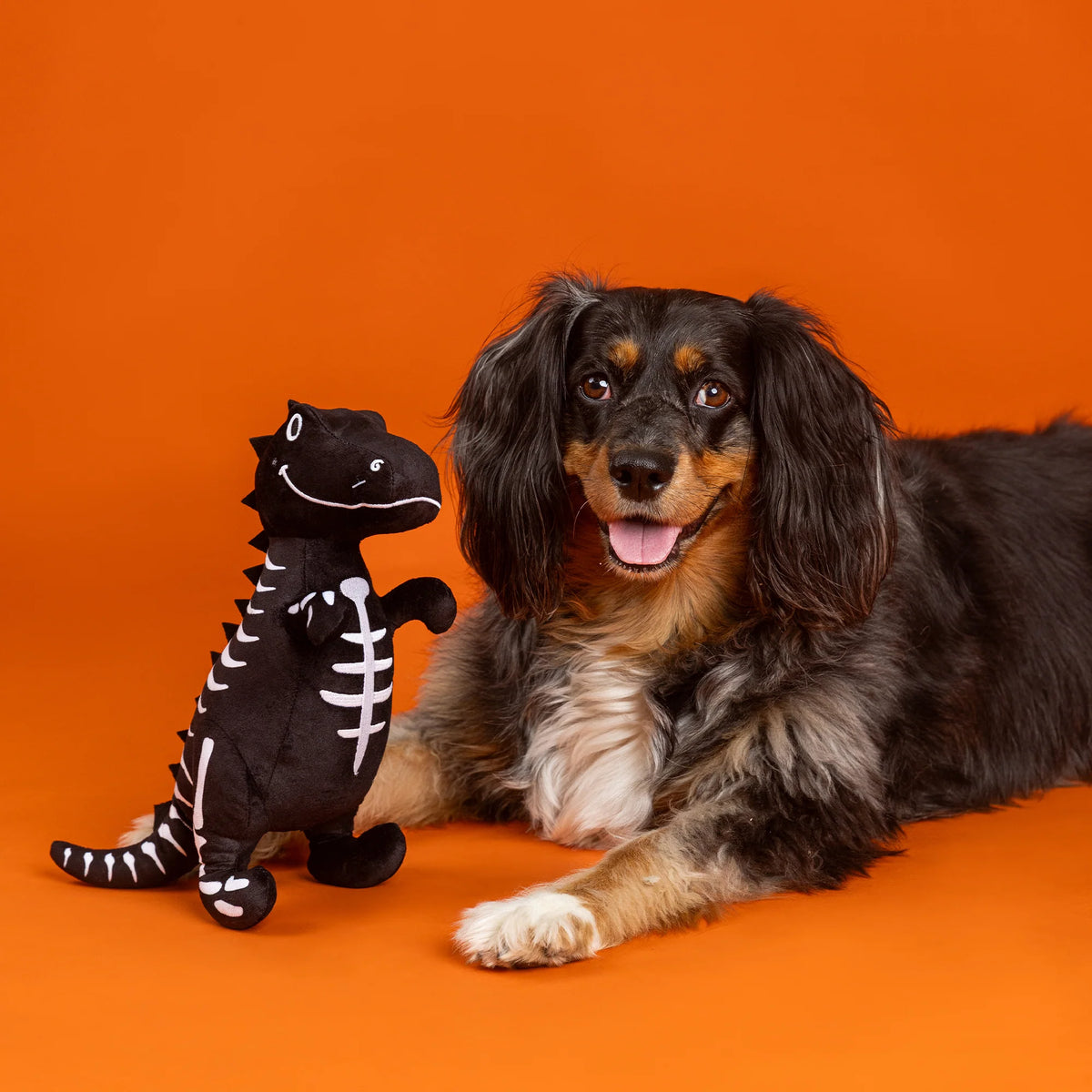 FRINGE STUDIO TRICK RAWR TREAT PLUSH DOG TOY HALLOWEEN