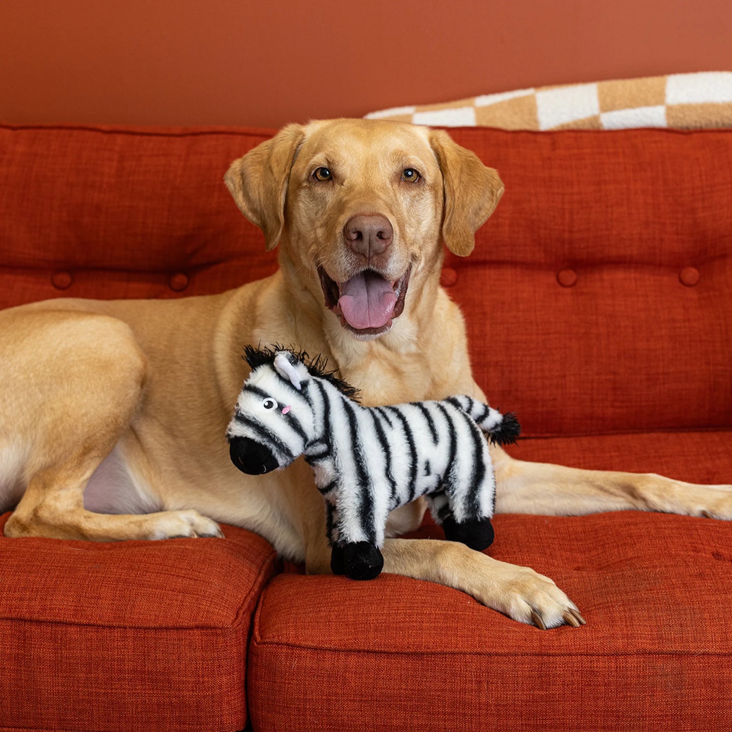 FRINGE STUDIO IM STRIPE TACULAR PLUSH DOG TOY