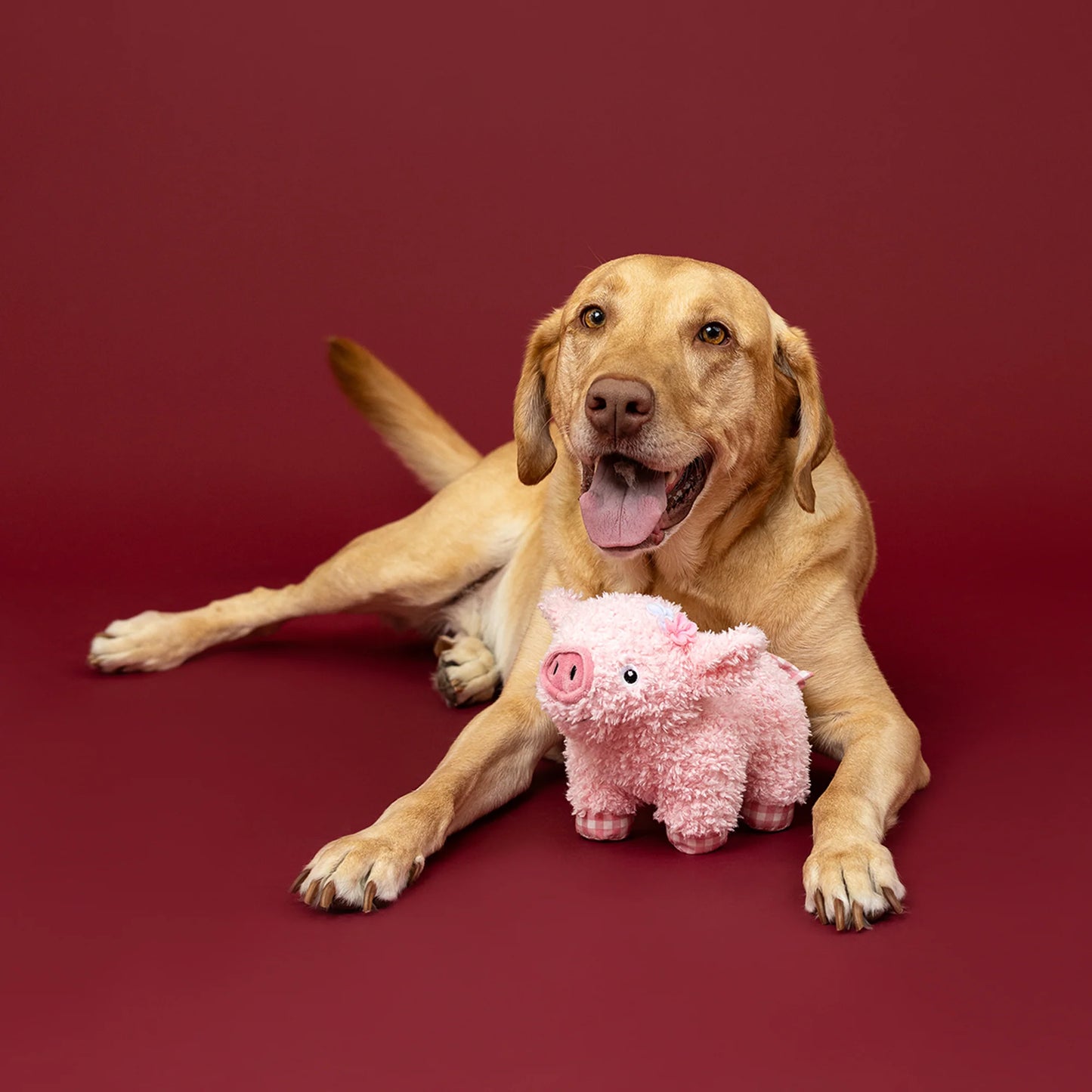 FRINGE STUDIO I HAM WHAT I HAM PLUSH DOG TOY