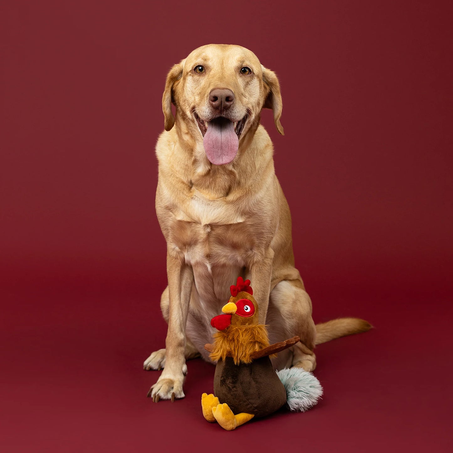 FRINGE STUDIO ROOST AND REPEAT PLUSH DOG TOY