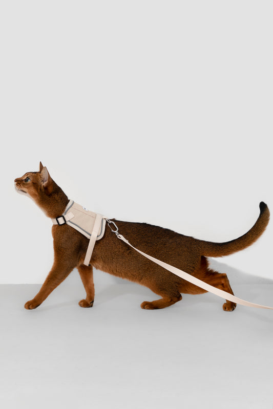 Valley Series Cat Vest Dog Harness Dog Leash Set - Beige