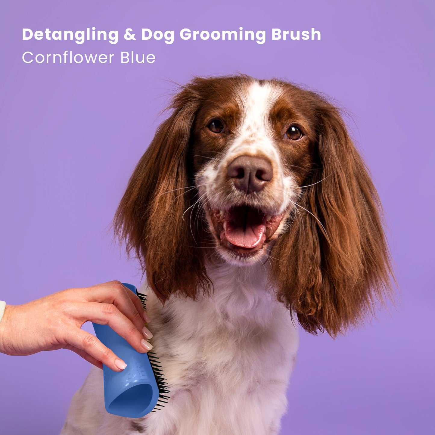 PET TEEZER DESHEDDING SMALL BRUSH BLUE/LIGHT BLUE