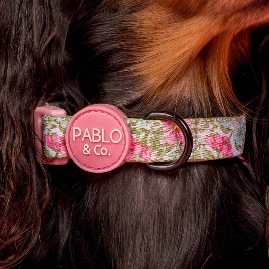 Flora & Fern: Collar