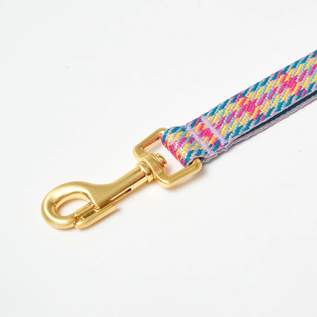 iCANDOR Gentle Leash 1.6m