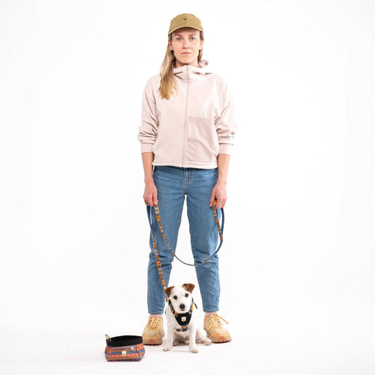 Nightless Night Dog Leash