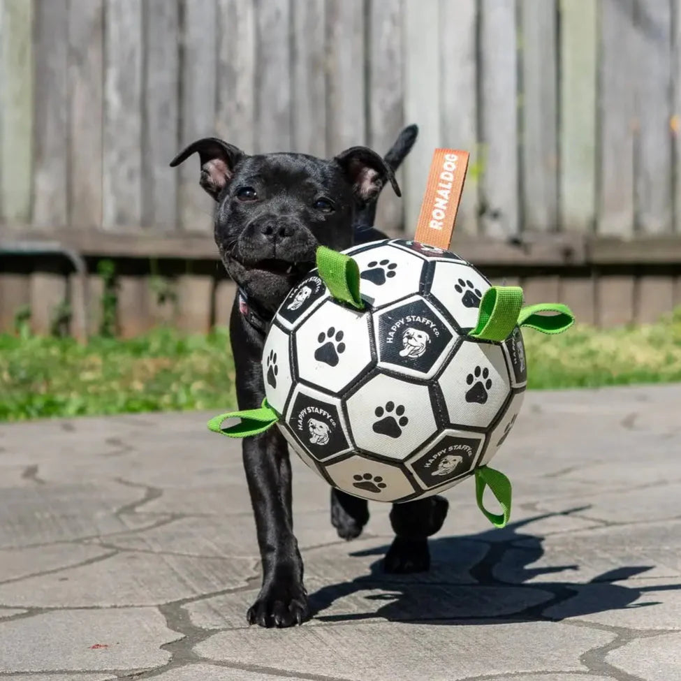 HAPPY STAFFY CO RONALDOG SOCCER BALL