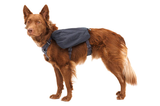 (AVAILABLE FOR PRE-ORDER) Ruffwear Front Range™ Day Pack (Dog Pack)
