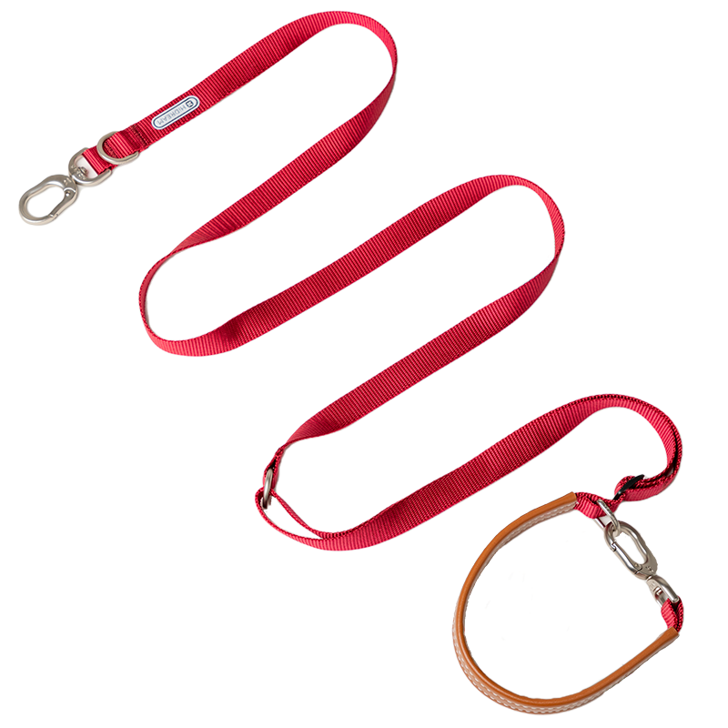 Bobo Series Multi-functional Dog Leash - Red