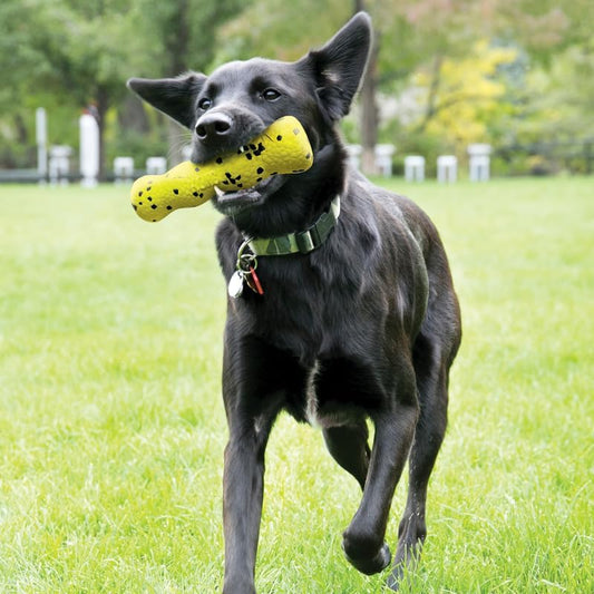 KONG Dog Reflex Stick Toy Medium