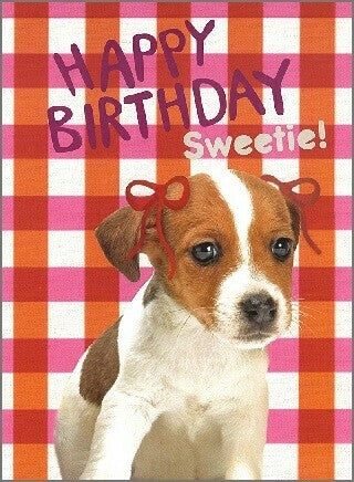 French-Designed Jack Russell Terrier Happy Birthday Greeting Card