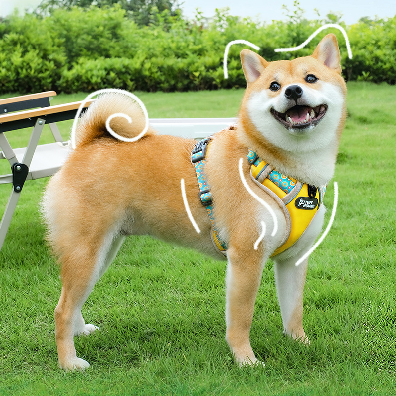 TUFFHOUND No-Pull Vest Dog Leash Set-Yellow