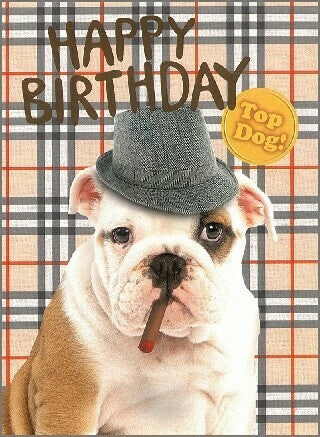 French-Designed Bulldog Happy Birthday Greeting Card
