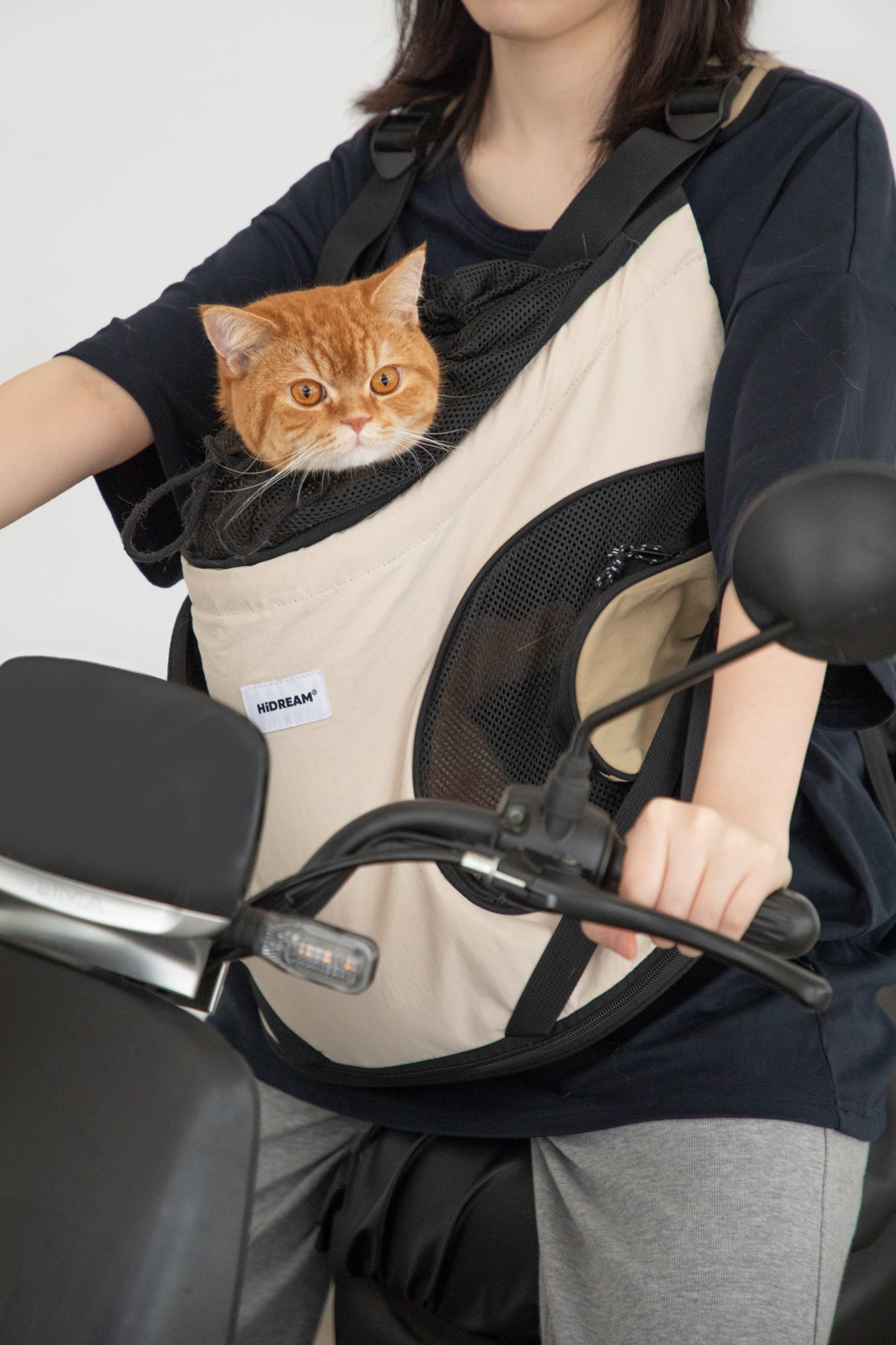 Front Tote Backpack - Green